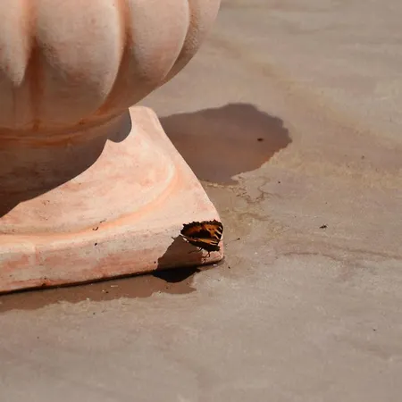 Pensjonat Winklerhof